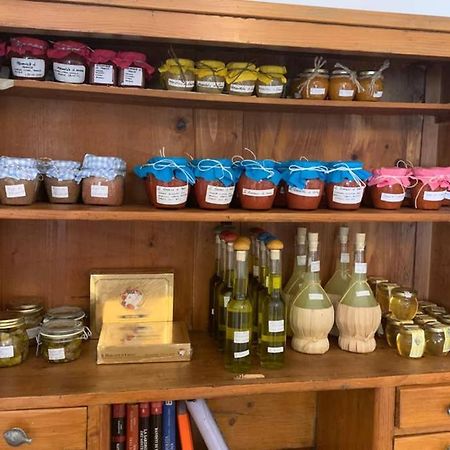 Appartamento Il Canneto Cannigione Εξωτερικό φωτογραφία