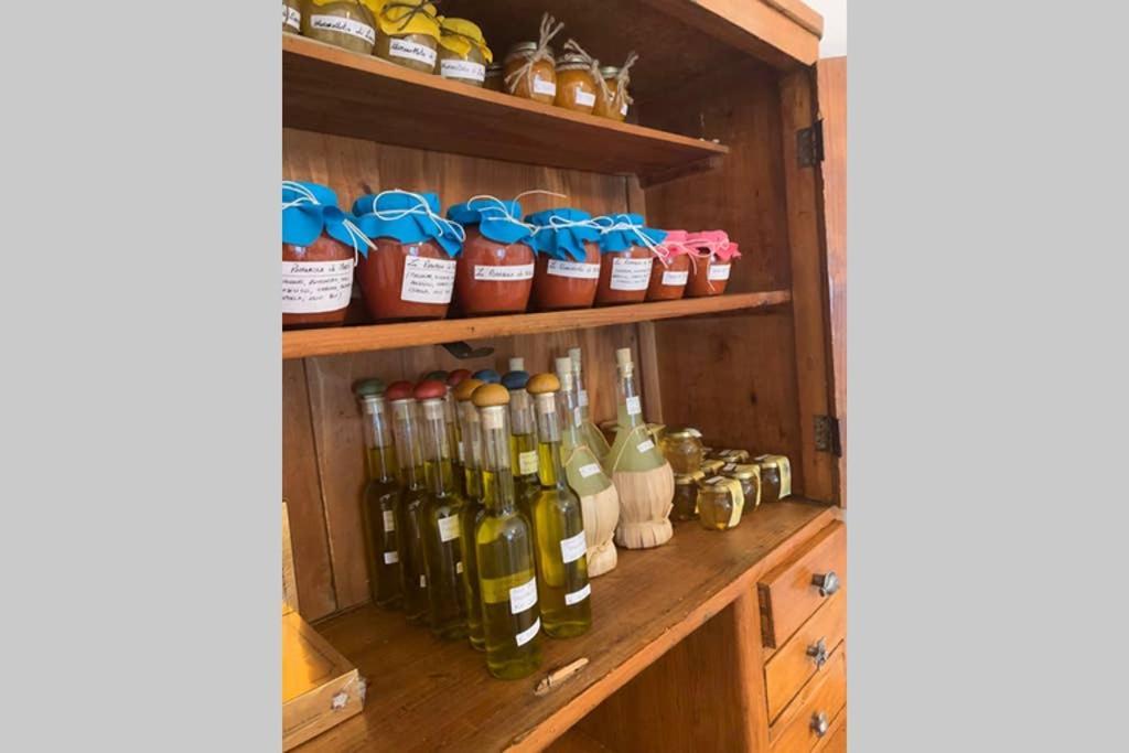 Appartamento Il Canneto Cannigione Εξωτερικό φωτογραφία