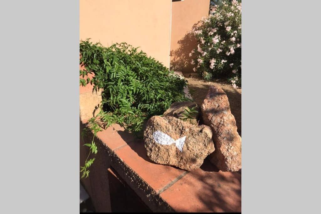 Appartamento Il Canneto Cannigione Εξωτερικό φωτογραφία