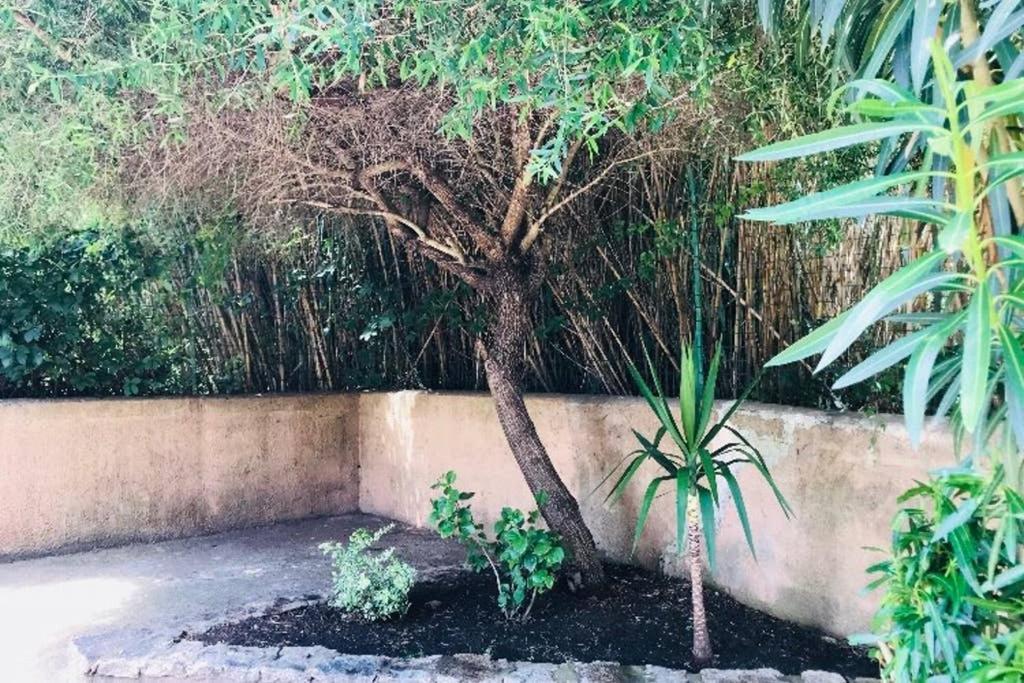 Appartamento Il Canneto Cannigione Εξωτερικό φωτογραφία