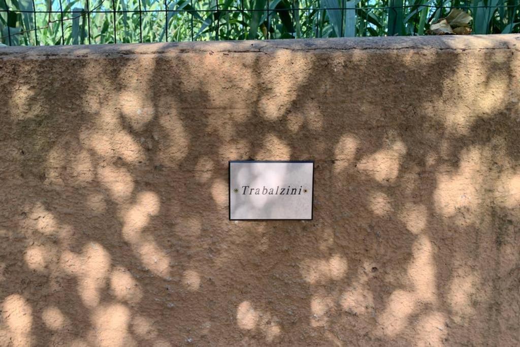 Appartamento Il Canneto Cannigione Εξωτερικό φωτογραφία